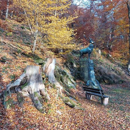 Apartmán Haus Anastasia Stolberg i. Harz Exteriér fotografie