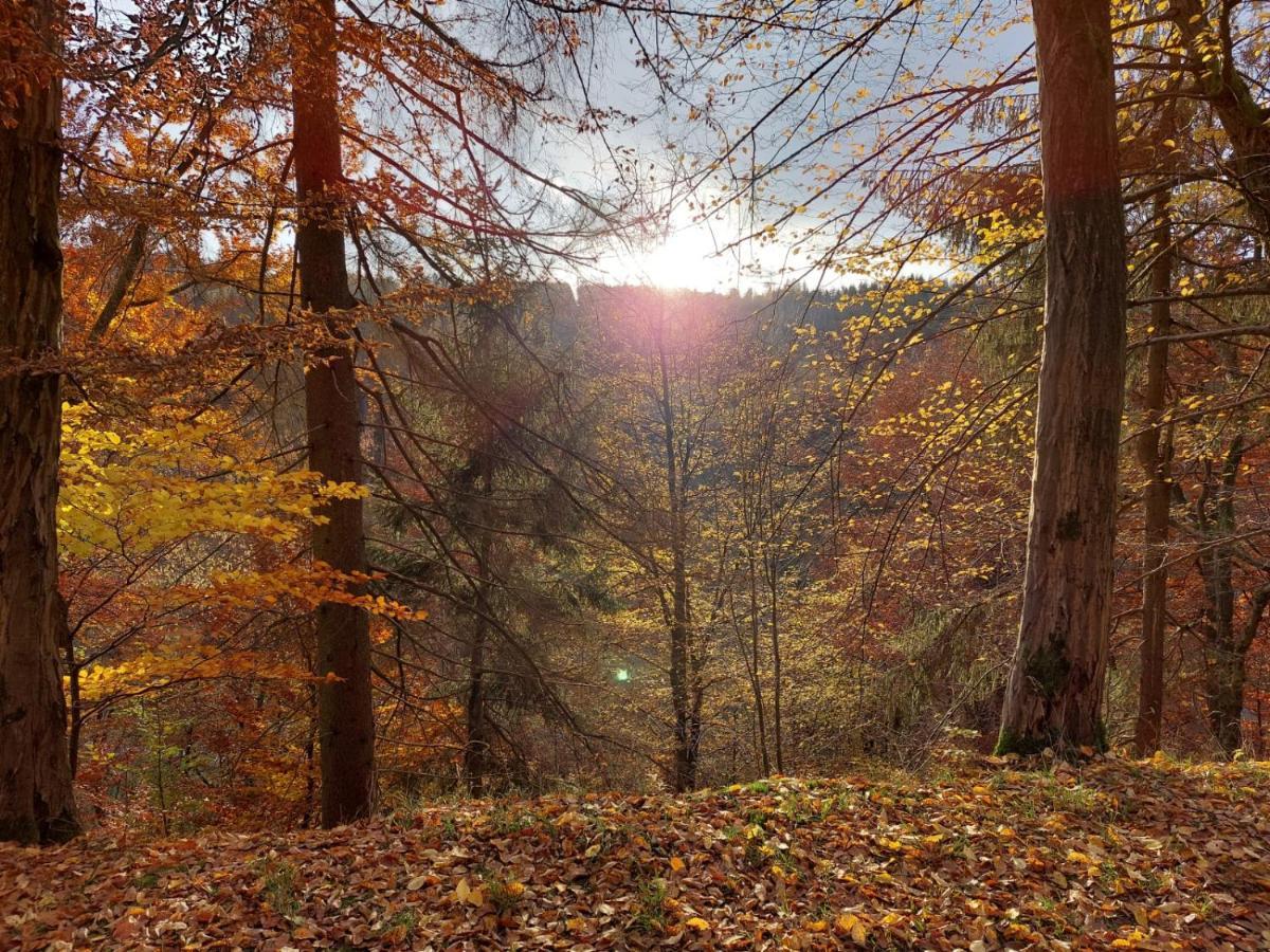 Apartmán Haus Anastasia Stolberg i. Harz Exteriér fotografie