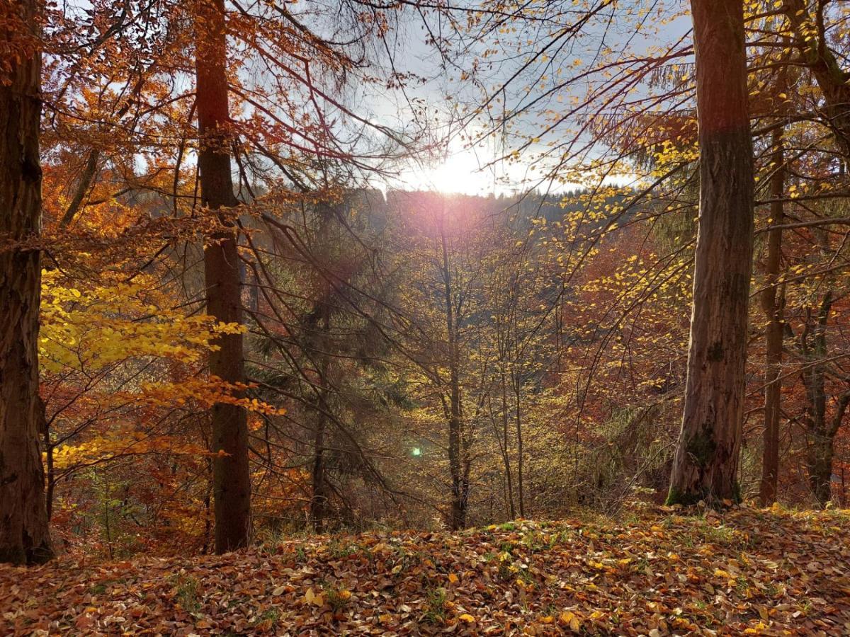 Haus Anastasia Stolberg i. Harz Exteriér fotografie