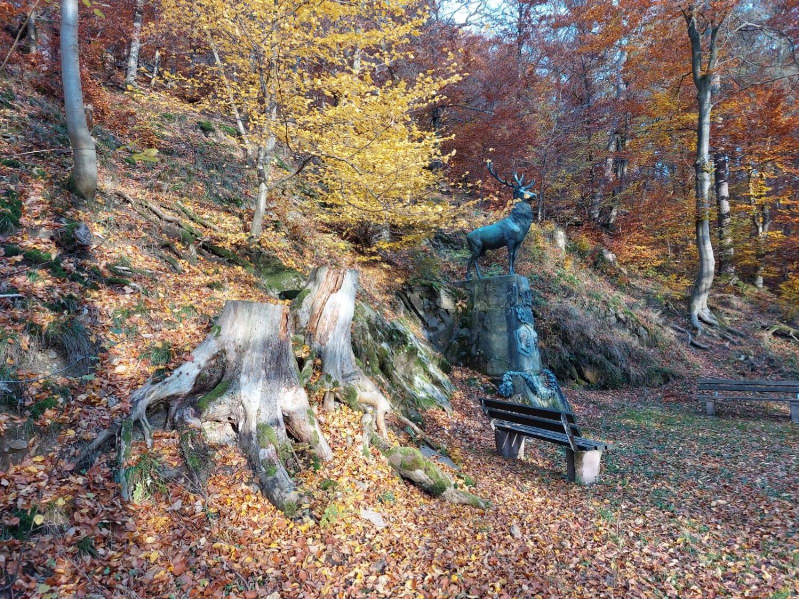 Apartmán Haus Anastasia Stolberg i. Harz Exteriér fotografie